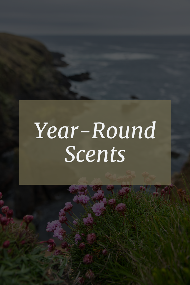 Year-Round Scents