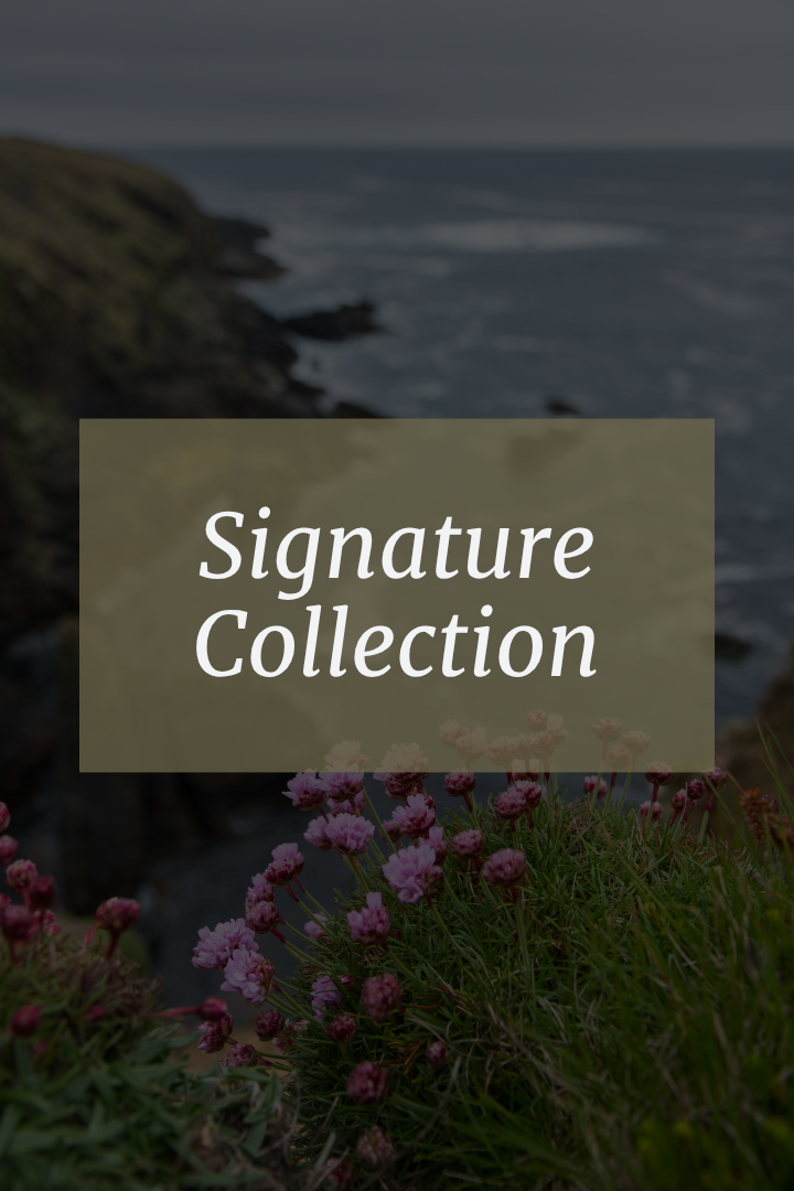 Signature Collection