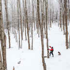 Organic Amber Maple Syrup