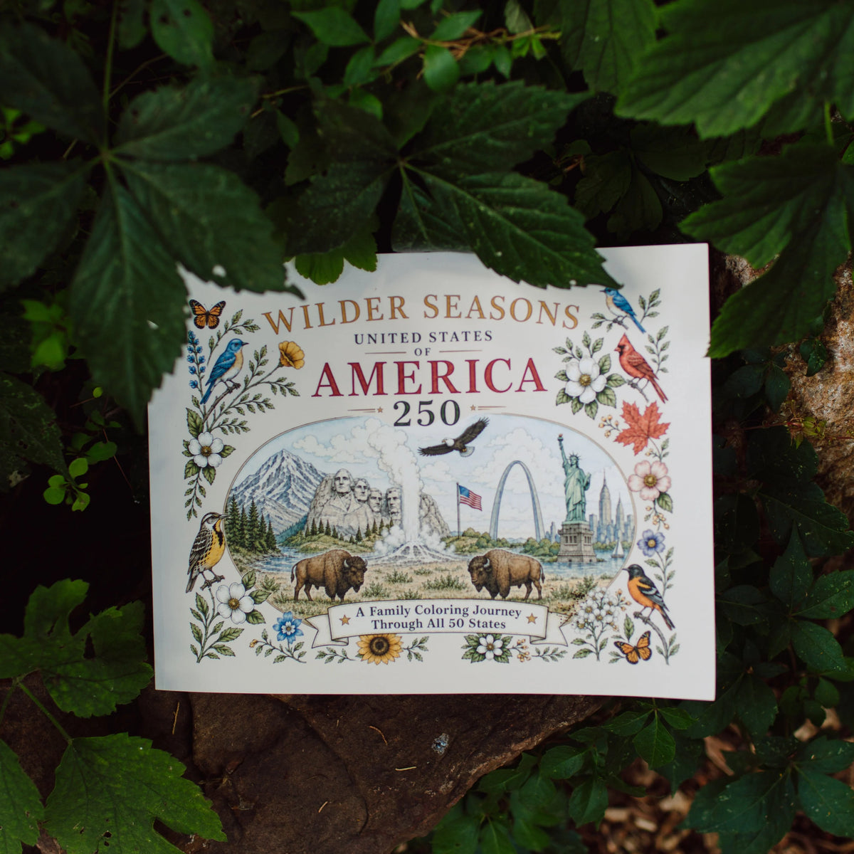 Wilder Seasons | USA Edition Coloring Book